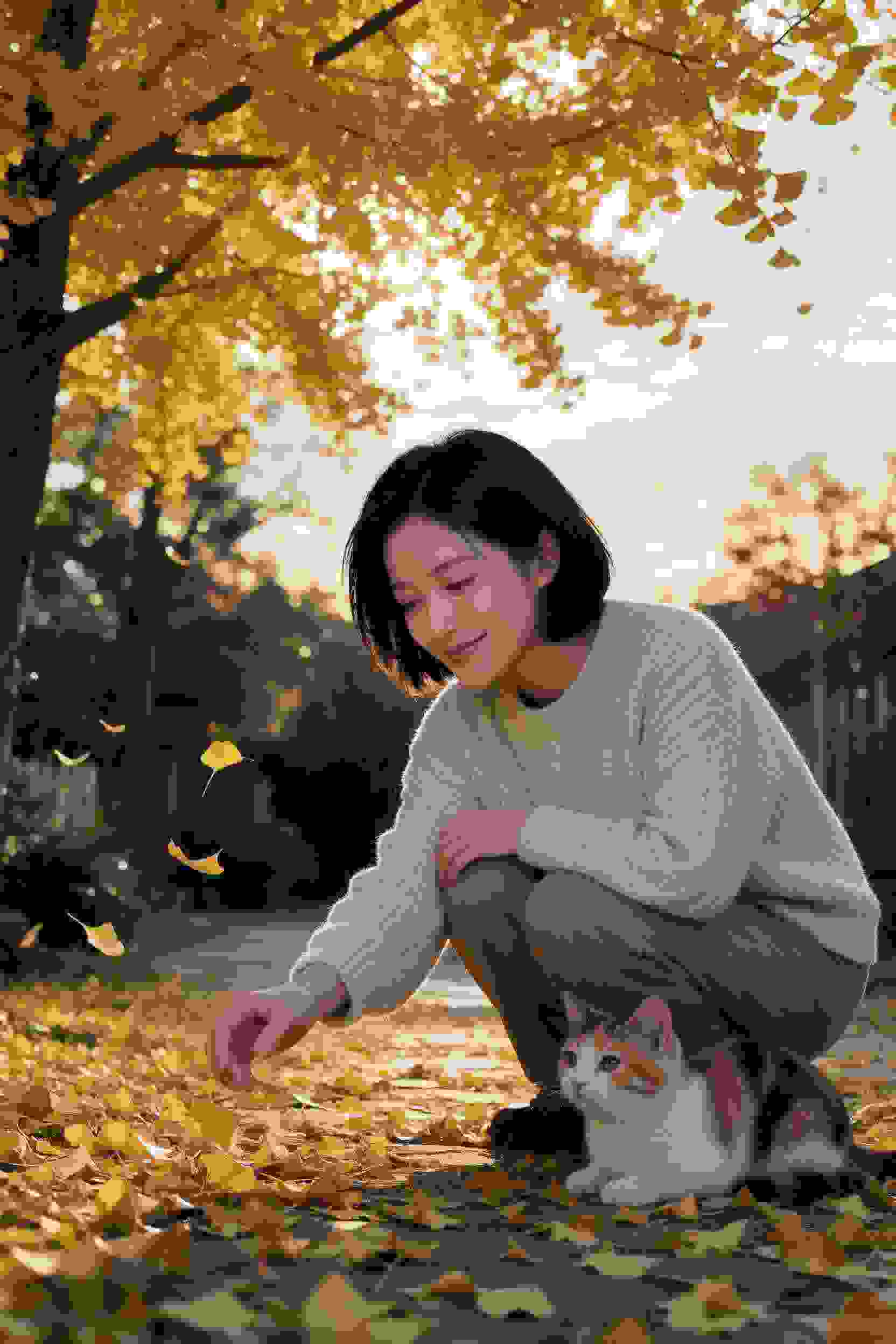 动漫